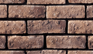 2.5x8 Special Used Brick Country.jpg